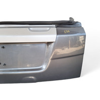 Honda Element 09-11 Rear Lower Tailgate Trunk Lid Assembly Silver Metallic, E036, OEM, 2009, 2010, 2011