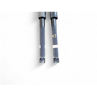 Honda CR-Z CRZ 12 Rear Shock Absorber Strut Set, 52610-SZT-308, E037, OEM, 2012