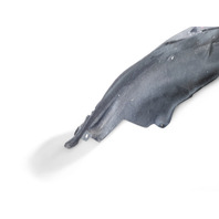 Honda Accord 18-22 Fender Liner, Rear Right/Passenger Side 74540-TVA-A00, E039, OEM, 2018, 2019, 2020, 2021, 2022