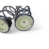 Toyota 4Runner 03-09 Rear Left/Right Shock Spring Coil Set RWD, E042, OEM, 2003, 2004, 2005, 2006, 2007, 2008, 2009