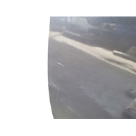 Honda Accord 18-22 Front Door Assy Left Side Metallic, 67050-TVA-315ZZ, E043, OEM, 2018, 2019, 2020, 2021, 2022
