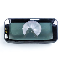 Acura RL 05-08 Sunroof Moon Roof Glass Window 70200-SJA-A03, E052, OEM, 2005, 2006, 2007, 2008
