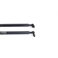 Acura RL 05-08 Hood Opener Stay Damper Shock Hood Left/Right Set, E052, OEM, 2005, 2006, 2007, 2008