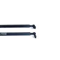 Acura RL 05-08 Hood Opener Stay Damper Shock Hood Left/Right Set, E052, OEM, 2005, 2006, 2007, 2008