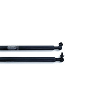 Acura RL 05-08 Hood Opener Stay Damper Shock Hood Left/Right Set, E052, OEM, 2005, 2006, 2007, 2008