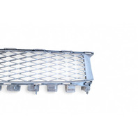 Lexus GS350 13-16 Front Bumper Lower Grille Grill Black 53112-30240, E053, OEM, 2013, 2014, 2015, 2016