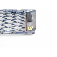 Lexus GS350 13-16 Front Bumper Lower Grille Grill Black 53112-30240, E053, OEM, 2013, 2014, 2015, 2016