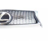 Lexus GS350 13-16 Front Grille Grill w/Molding Emblem, 53111-30D90, 90975-02125, E053, OEM, 2013, 2014, 2015, 2016 Lexus GS350 13-16 Front Grille Grill w/Molding Emblem, 53111-30D90, 90975-02125, E053, OEM, 2013, 2014, 2015, 2016