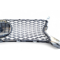 Lexus GS350 13-16 Front Grille Grill w/Molding Emblem, 53111-30D90, 90975-02125, E053, OEM, 2013, 2014, 2015, 2016 Lexus GS350 13-16 Front Grille Grill w/Molding Emblem, 53111-30D90, 90975-02125, E053, OEM, 2013, 2014, 2015, 2016