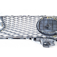 Lexus GS350 13-16 Front Grille Grill w/Molding Emblem, 53111-30D90, 90975-02125, E053, OEM, 2013, 2014, 2015, 2016 Lexus GS350 13-16 Front Grille Grill w/Molding Emblem, 53111-30D90, 90975-02125, E053, OEM, 2013, 2014, 2015, 2016