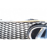 Lexus GS350 13-16 Front Grille Grill w/Molding Emblem, 53111-30D90, 90975-02125, E053, OEM, 2013, 2014, 2015, 2016 Lexus GS350 13-16 Front Grille Grill w/Molding Emblem, 53111-30D90, 90975-02125, E053, OEM, 2013, 2014, 2015, 2016