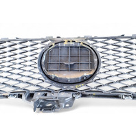 Lexus GS350 13-16 Front Grille Grill w/Molding Emblem, 53111-30D90, 90975-02125, E053, OEM, 2013, 2014, 2015, 2016 Lexus GS350 13-16 Front Grille Grill w/Molding Emblem, 53111-30D90, 90975-02125, E053, OEM, 2013, 2014, 2015, 2016