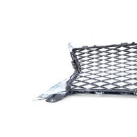 Lexus GS350 13-16 Front Grille Grill w/Molding Emblem, 53111-30D90, 90975-02125, E053, OEM, 2013, 2014, 2015, 2016 Lexus GS350 13-16 Front Grille Grill w/Molding Emblem, 53111-30D90, 90975-02125, E053, OEM, 2013, 2014, 2015, 2016