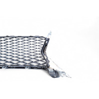 Lexus GS350 13-16 Front Grille Grill w/Molding Emblem, 53111-30D90, 90975-02125, E053, OEM, 2013, 2014, 2015, 2016 Lexus GS350 13-16 Front Grille Grill w/Molding Emblem, 53111-30D90, 90975-02125, E053, OEM, 2013, 2014, 2015, 2016