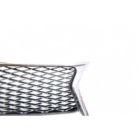 Lexus GS350 13-16 Front Grille Grill w/Molding Emblem, 53111-30D90, 90975-02125, E053, OEM, 2013, 2014, 2015, 2016 Lexus GS350 13-16 Front Grille Grill w/Molding Emblem, 53111-30D90, 90975-02125, E053, OEM, 2013, 2014, 2015, 2016