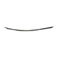 Lexus RC F 15-20 Front Left/Driver Door Roof Molding Trim, E055, OEM, 2015, 2016, 2017, 2018, 2019, 2020