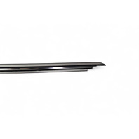 Lexus RC F 15-20 Front Left/Driver Door Roof Molding Trim, E055, OEM, 2015, 2016, 2017, 2018, 2019, 2020