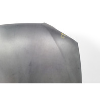 Lexus IS300 01-05 Hood Bonnet Assembly, Dark Grey, 53301-53020, E056, OEM, 2001, 2002, 2003, 2004, 2005
