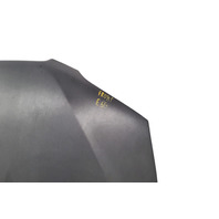 Lexus IS300 01-05 Hood Bonnet Assembly, Dark Grey, 53301-53020, E056, OEM, 2001, 2002, 2003, 2004, 2005