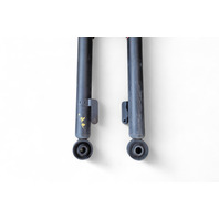 Acura RL 05-08 Shock Absorber Strut, Rear Left/Right Set, E058, OEM, 2005, 2006, 2007, 2008