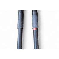 Acura RL 05-08 Shock Absorber Strut, Rear Left/Right Set, E058, OEM, 2005, 2006, 2007, 2008