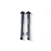 Acura RL 05-08 Shock Absorber Strut, Rear Left/Right Set, E058, OEM, 2005, 2006, 2007, 2008