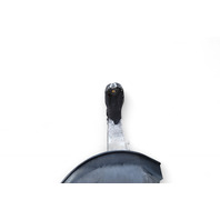 Acura RL 05-12 Knuckle Spindle, Front Right Pass. Side, 51210-SJA-010, E058, OEM, 2005, 2006, 2007, 2008, 2009, 2010, 2011, 2012