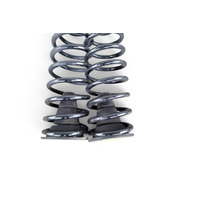 Toyota 4Runner 03-09 Rear Left/Right Shock Spring Coil Set RWD, E059, OEM, 2003, 2004, 2005, 2006, 2007, 2008, 2009
