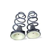 Toyota 4Runner 03-09 Rear Left/Right Shock Spring Coil Set RWD, E060, OEM, 2003, 2004, 2005, 2006, 2007, 2008, 2009