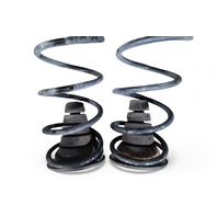 Toyota 4Runner 03-09 Rear Left/Right Shock Spring Coil Set RWD, E060, OEM, 2003, 2004, 2005, 2006, 2007, 2008, 2009