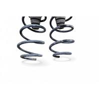 Toyota 4Runner 03-09 Rear Left/Right Shock Spring Coil Set RWD, E060, OEM, 2003, 2004, 2005, 2006, 2007, 2008, 2009