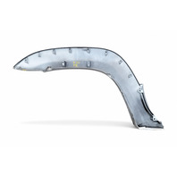 Toyota 4Runner 05-09 Fender Wheel Opening Flare Right/Passenger Silver Metallic, 53847-35120-B0, E060, OEM, 2005, 2006, 2007, 2008, 2009