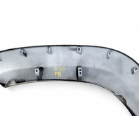 Toyota 4Runner 05-09 Fender Wheel Opening Flare Right/Passenger Silver Metallic, 53847-35120-B0, E060, OEM, 2005, 2006, 2007, 2008, 2009