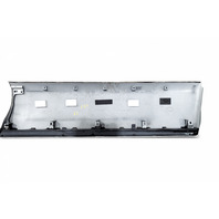 Toyota 4Runner 05-09 Door Molding Trim Front Left/Driver Silver Metallic, 75732-35130-B0, E060, OEM, 2005, 2006, 2007, 2008, 2009