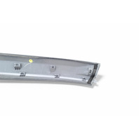 Honda Element 03-05 Roof Panel Molding Left/Driver Set of 3 Metallic 75220-SCV-A01ZA, E061, OEM, 2003, 2004, 2005