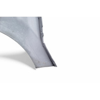 Honda Element 03-05 Front Fender Cladding Molding Right/Passenger Metallic 74115-SCV-A10ZA, E063, OEM, 2003, 2004, 2005