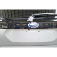 Subaru Forester 19-24 Rear Liftgate Trunk Lid Assembly 60809SJ0409P, E064, OEM, 2019, 2020, 2021, 2022, 2023, 2024