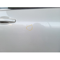Honda Insight 19-22 Front Door Right/Passenger Platinum White 67010-TXM-A91ZZ, E066, OEM, 2019, 2020, 2021, 2022
