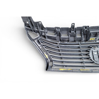 Lexus ES300h 13-15 Front Grille Grill With Emblem, 53111-33440, E068, OEM, 2013, 2014, 2015