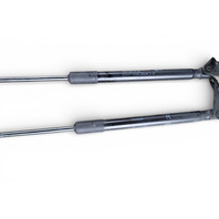 Nissan Leaf 13-17 Liftgate Trunk Strut/Shock Damper Right/Left Set 90450-3NF0A, E070, OEM, 2013, 2014, 2015, 2016, 2017