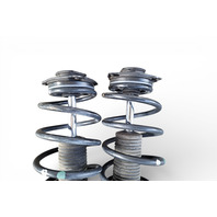 Nissan Juke 13-17 Front Strut Shock Absorber Spring Right/Left Set, E4302-3YW1A, E073, OEM, 2013, 2014, 2015, 2016, 2017