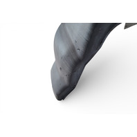 Honda Element 05-08 Rear Bumper Plastic Textured 04715-SCV-A80ZC, E074, OEM, 2005, 2006, 2007, 2008