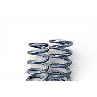 Lexus GS350 13-16 RWD Rear Coil Spring Left/Right Set (2) 48231-30C80, E077, OEM, 2013, 2014, 2015, 2016