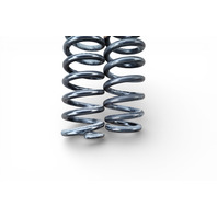 Lexus GS350 13-16 RWD Rear Coil Spring Left/Right Set (2) 48231-30C80, E077, OEM, 2013, 2014, 2015, 2016