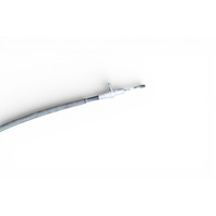 Lexus GS350 13-20 Electrical Parking Emergency Brake Actuator 46300-30020, E077, OEM, 2013, 2014, 2015, 2016, 2017, 2018, 2019, 2020