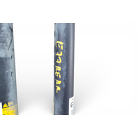 Lexus GS350 13-16 Rear Left/Right Strut Shock Absorber Set 48530-80630, E077, OEM, 2013, 2014, 2015, 2016