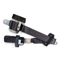 2013-2020 Lexus GS350 Rear Center Seatbelt Seat Belt Black, 73480-30291-C1, F033, OEM, 2013, 2014, 2015, 2016, 2017, 2018, 2019, 2020