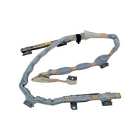 Lexus IS250 06-13 Curtain Module Side Right/Passenger Side 62180-53020, F004, OEM, 2006, 2007, 2008, 2009, 2010, 2011, 2012, 2013