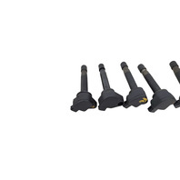 Acura TL 04-08 Igniter Ignition Coil Plug 6 Piece Set V6 3.5L 30520-RCA-S01, F006, OEM, 2004, 2005, 2006, 2007, 2008