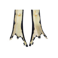 2015-2024 Lexus RC350 Front Pillar Cover Trim Garnish Exterior Right/Left Set, F007, OEM, 2015, 2016, 2017, 2018, 2019, 2020, 2021, 2022, 2023, 2024